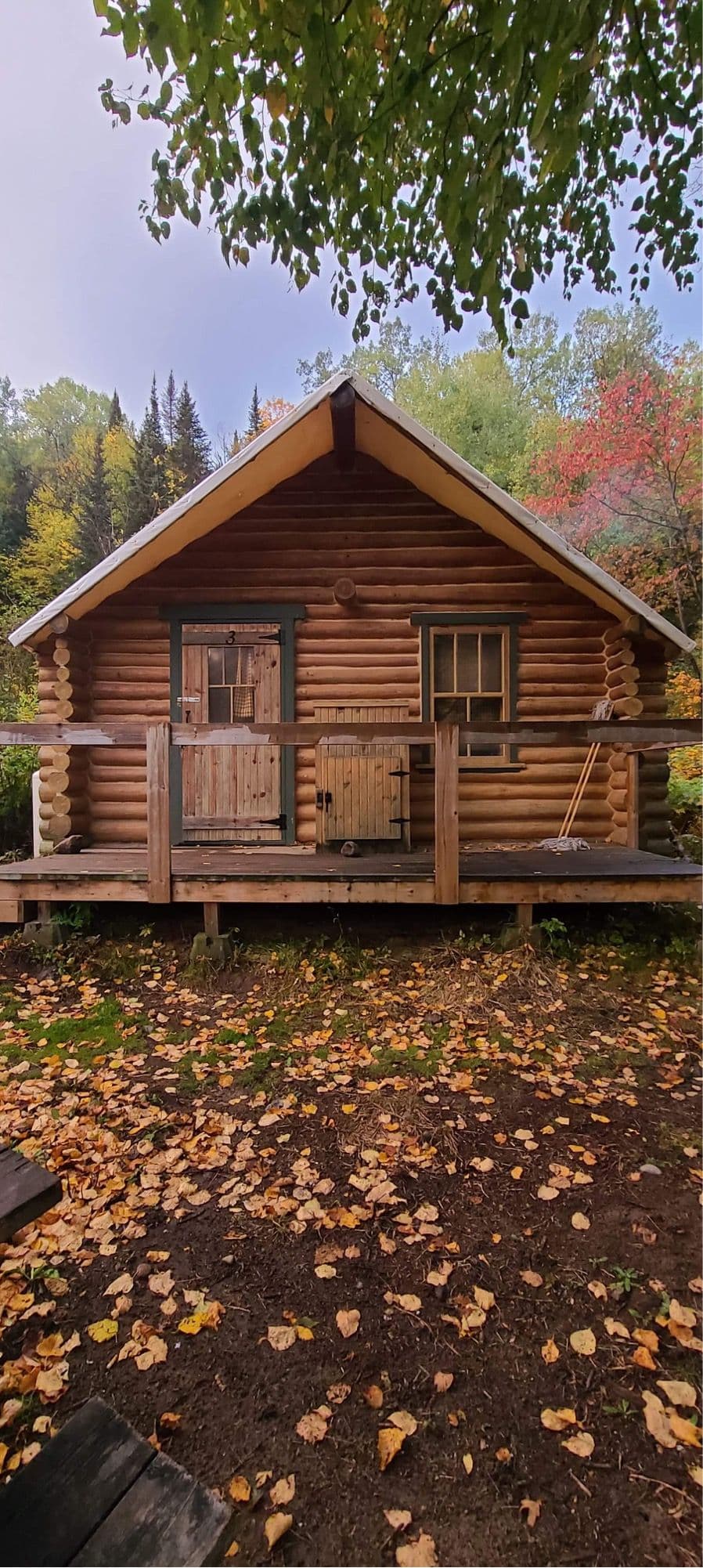 Log cabin in the boreal forest, flaming red maples, autumn leaves blanketing the ground