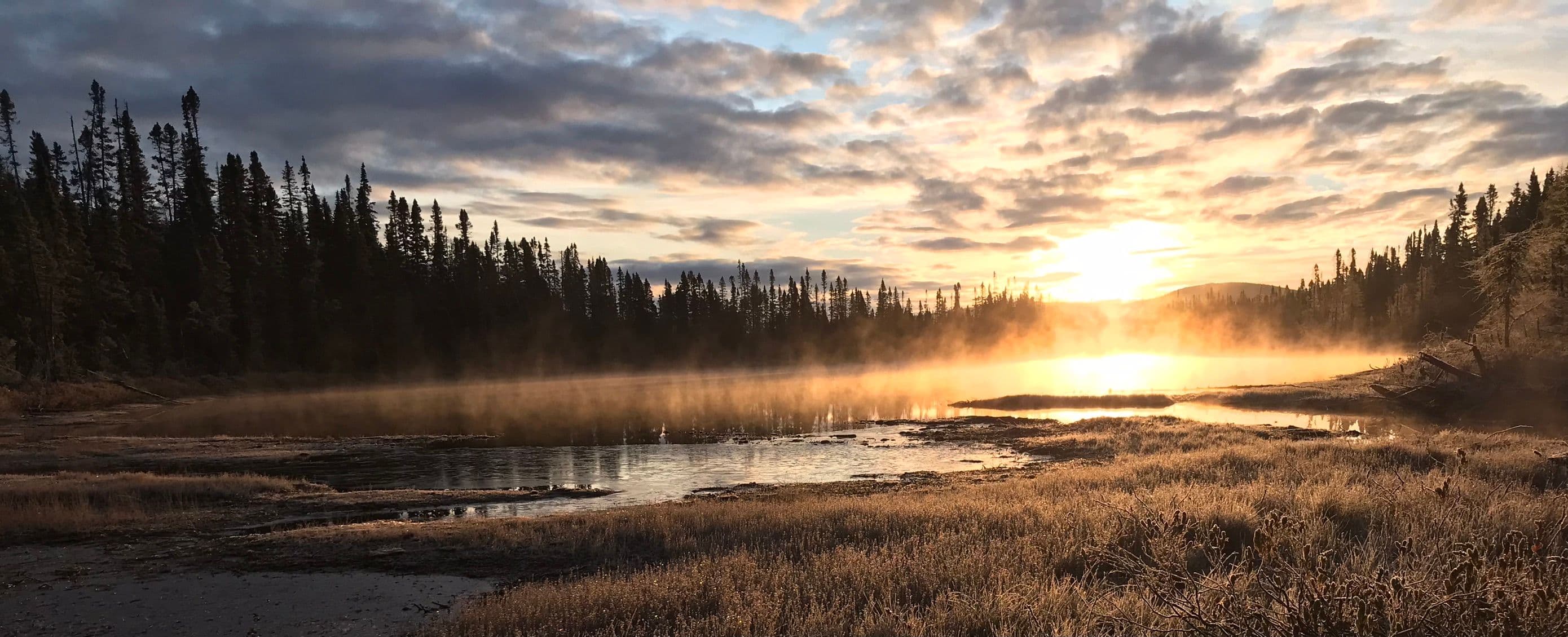 2024 Moose hunt