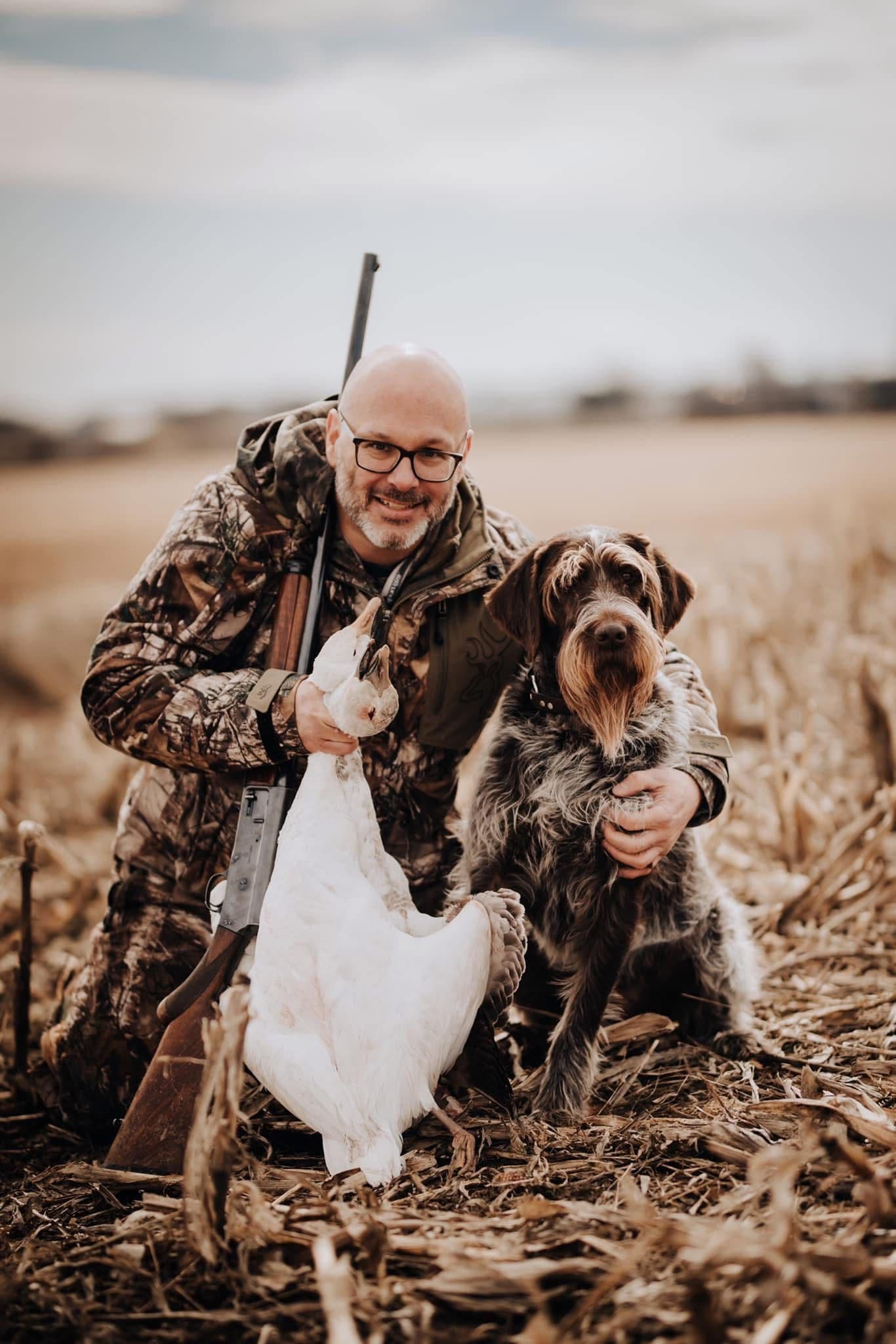 Dark Wirehaired Pointing Griffon in a boreal birch stand, white trunks, late fall
