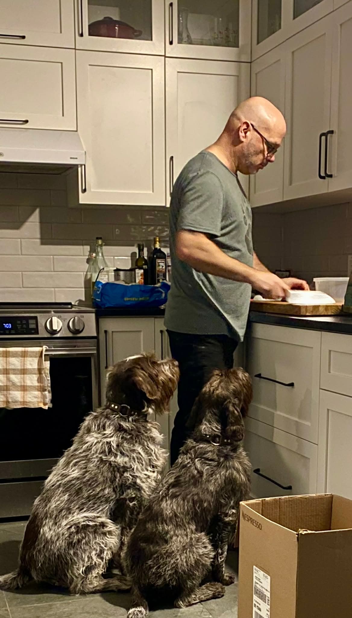 François Séguin standing in the kitchen prepping dinner, Cooper and Artax sitting behind him watching
